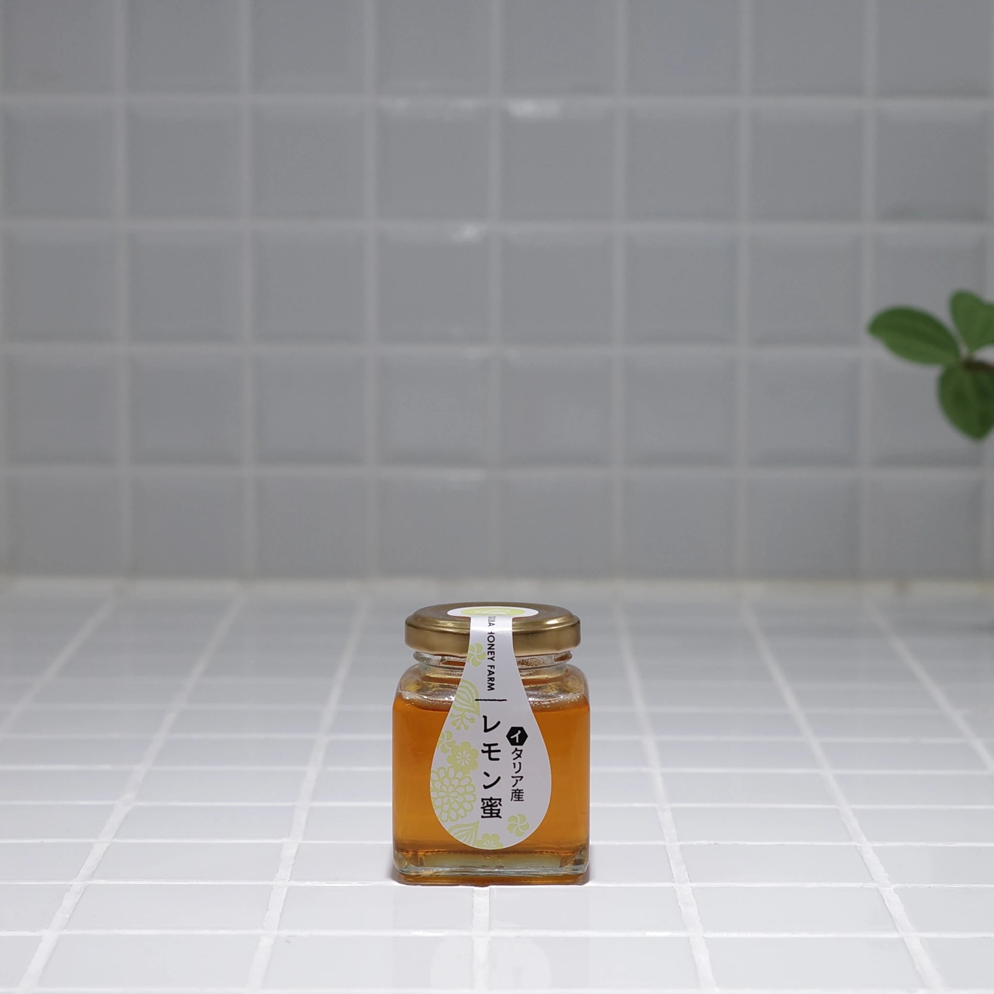 products_Overseas_ita_remon100