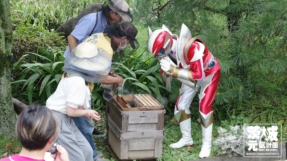 「GO!GO!イバライガー」の番組取材。時空を超える戦士イバライガー様御来店～♪