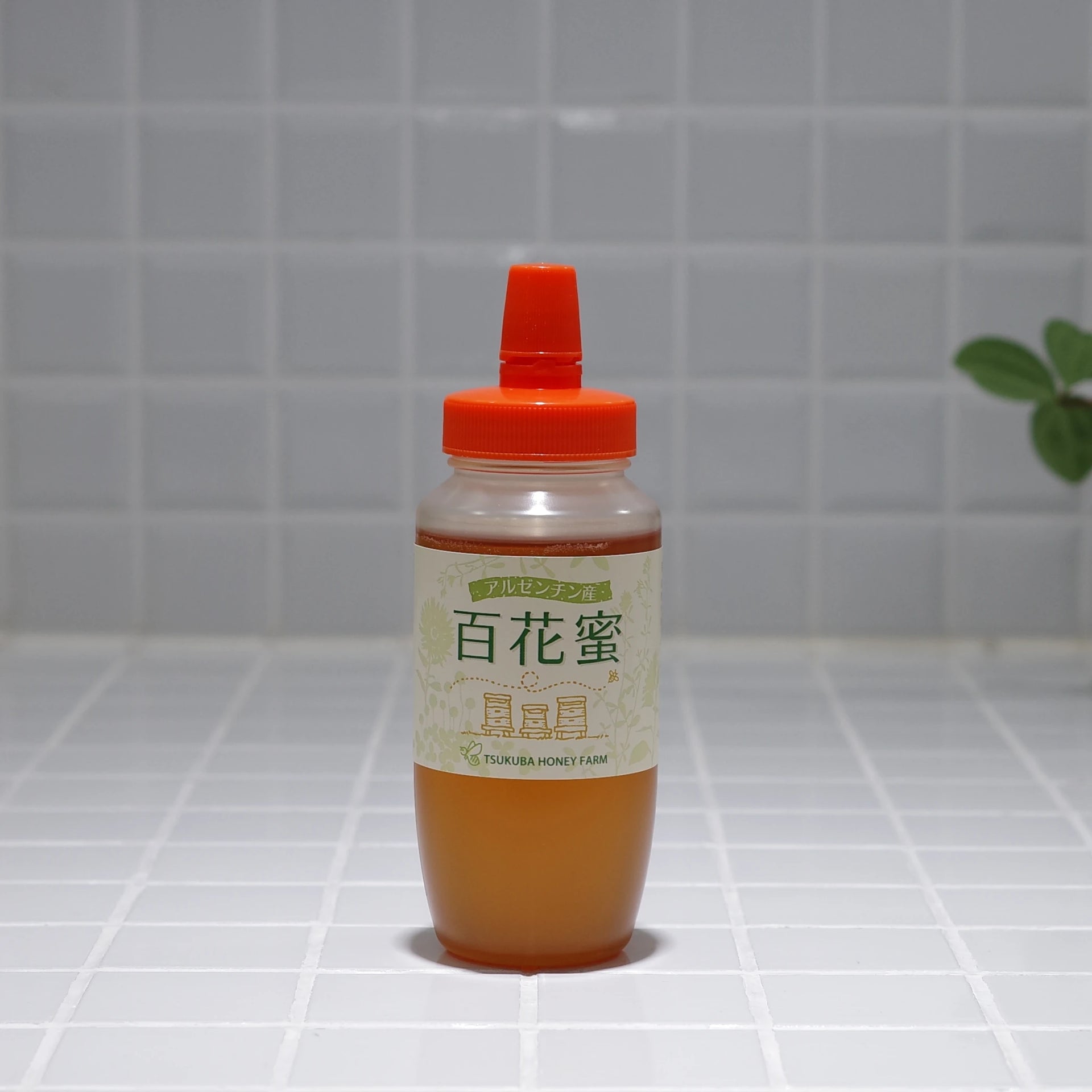 products_Overseas_ar_wildflora