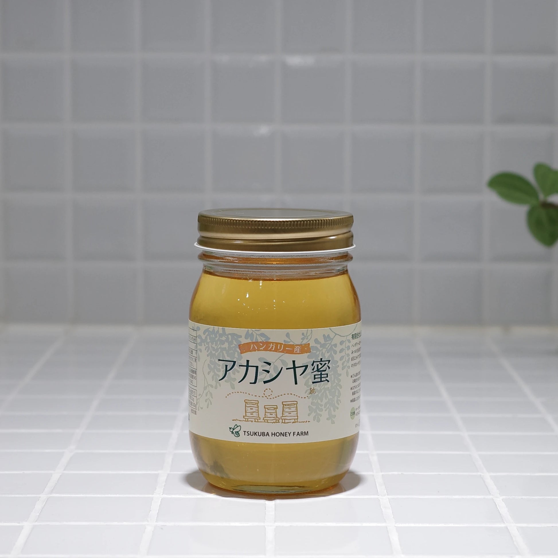 ハンガリー産アカシヤ蜜 – つくばの山田はちみつ