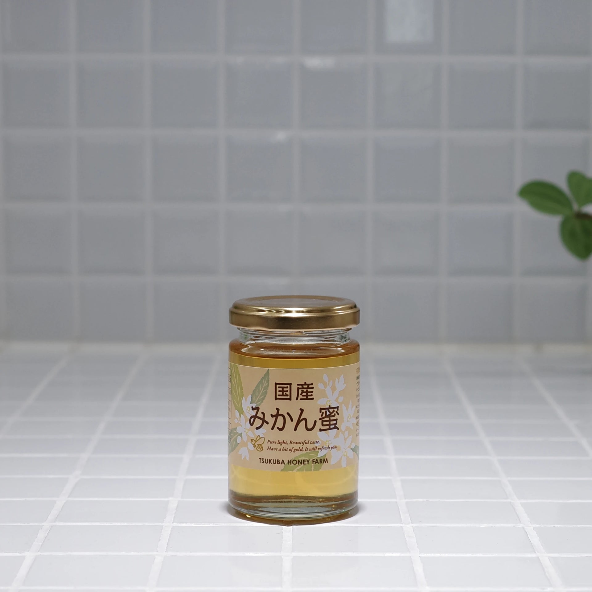 国産みかん蜂蜜＆巣蜜578g 国産蜂蜜 みかんはちみつ 550g 国産はちみつ | CanbeeHONEY キャンビー