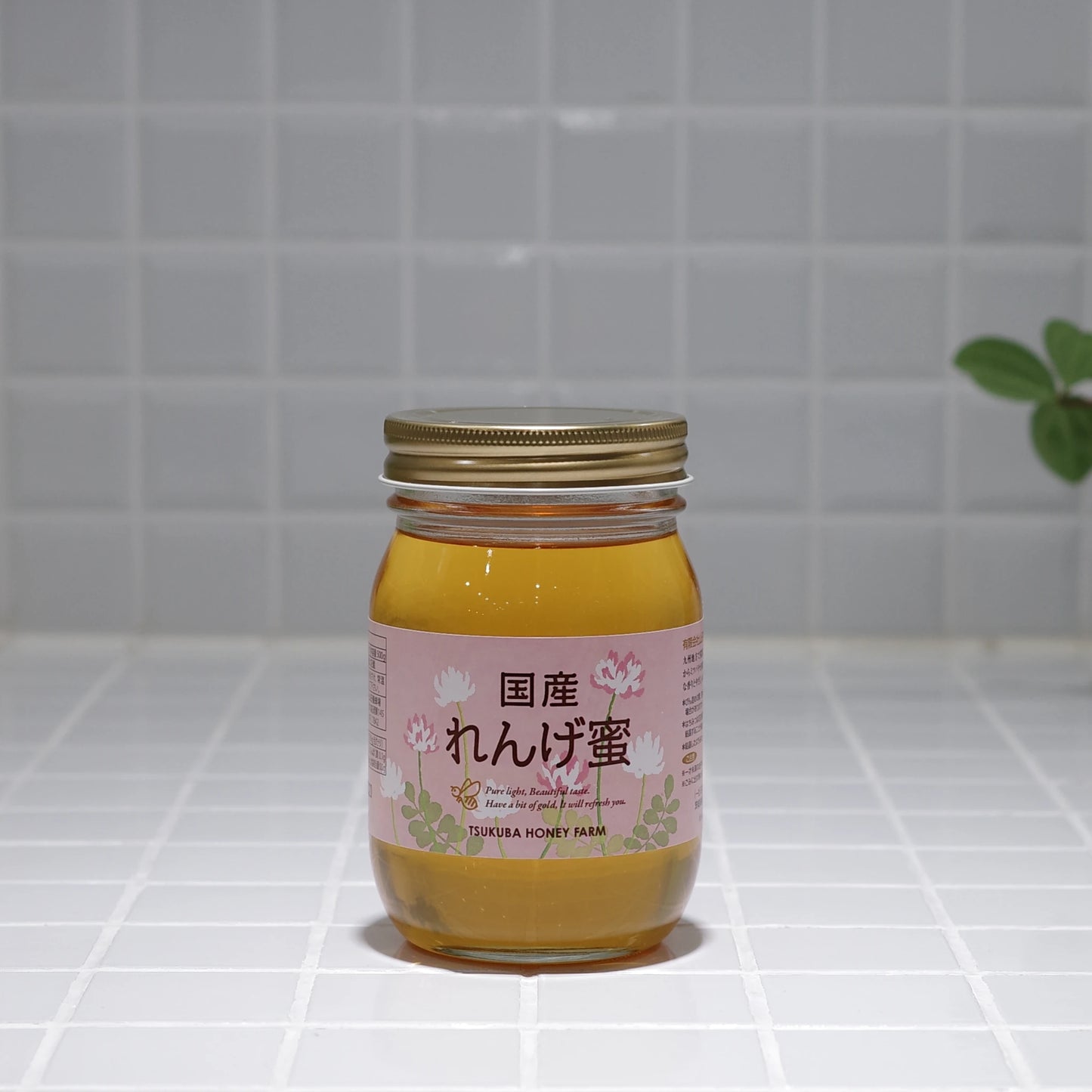 国産れんげ蜜