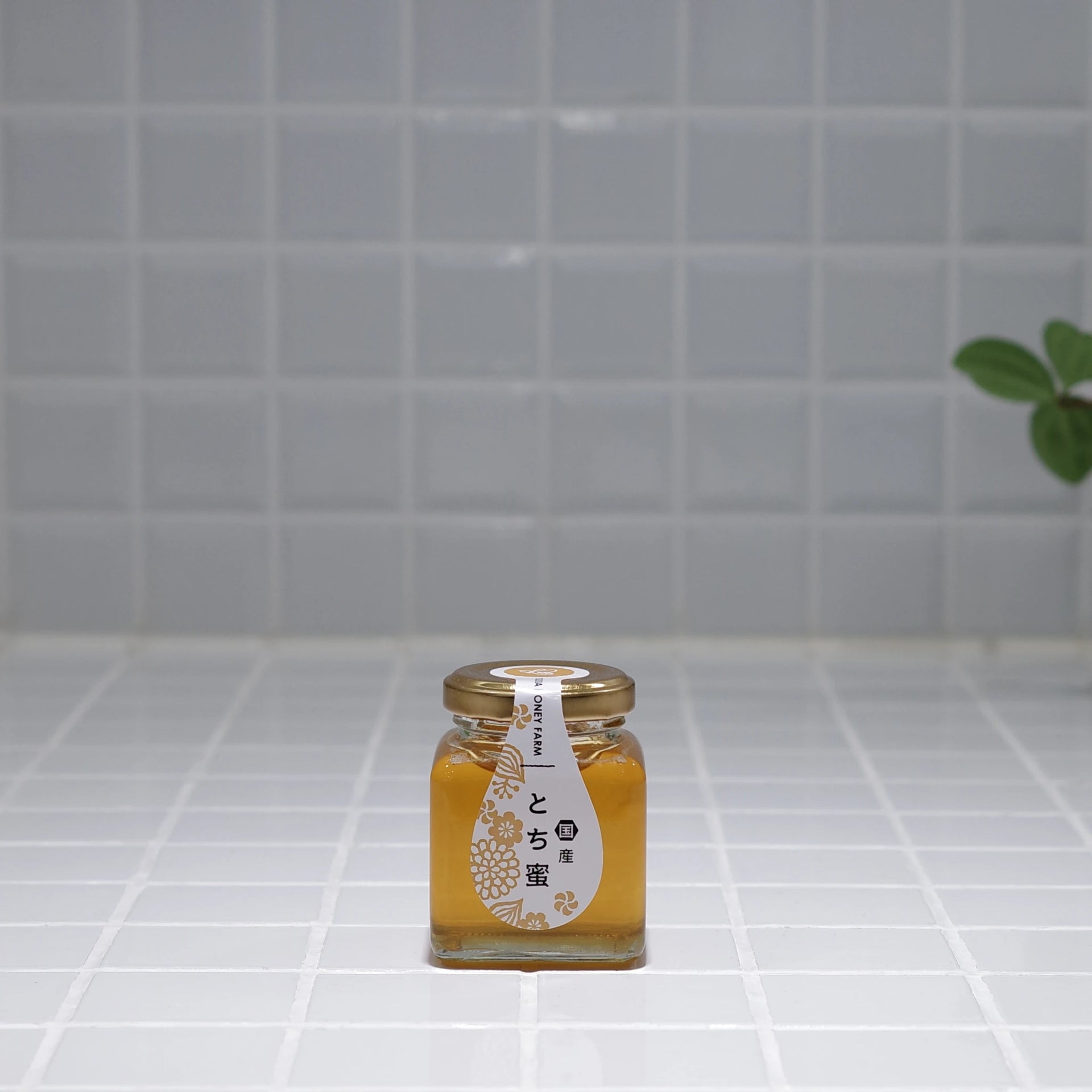 国産とち蜜 – つくばの山田はちみつ